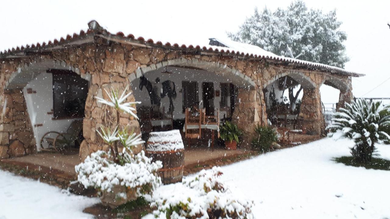 Affittcamere Jannas Orgosolo Exterior photo